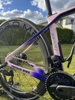 Elves Avari Pro Disc
